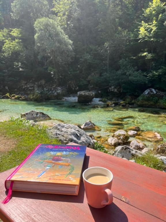 Apartmaji In Sobe Cuder Soča Exteriör bild