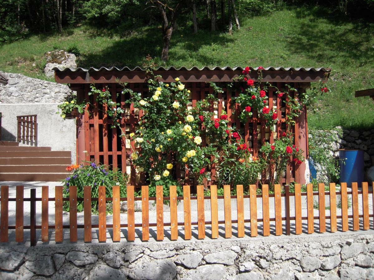 Apartmaji In Sobe Cuder Soča Exteriör bild